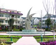 崇明天气预报40天