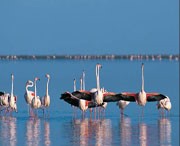 静海天气预报60天