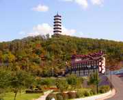 九台天气预报40天