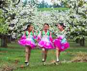 龙井天气预报7天