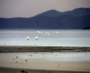 北票天气预报40天