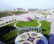 康保天气预报15天