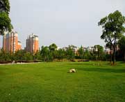 大宁天气预报60天