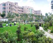 礼泉天气预报40天