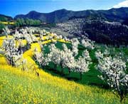 淳化天气预报40天