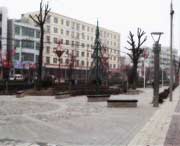 长武天气预报40天