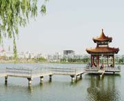 曹县天气预报60天