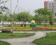 和田天气预报40天