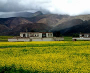 拉孜天气预报40天