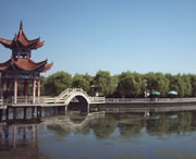 临洮天气预报40天