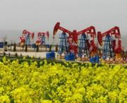 庆阳天气预报40天