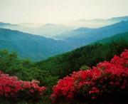 正宁天气预报40天