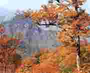 武山天气预报40天