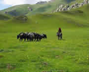 甘南州天气预报40天