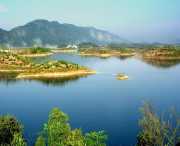 阳新天气预报40天