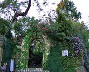 临安天气预报40天