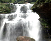 天台天气预报40天