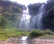 泰顺天气预报15天