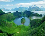 武义天气预报40天