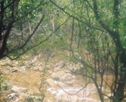 开化天气预报7天