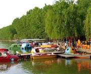 太和天气预报40天