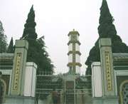 利辛天气预报40天