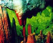 无为天气预报7天