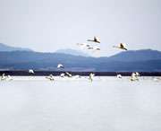 东至天气预报40天