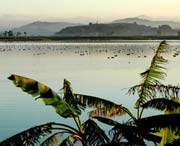 柘荣天气预报40天