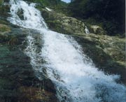 长泰天气预报7天