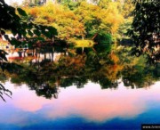 花溪天气预报40天