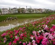 双流天气预报40天