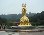 大英天气预报7天