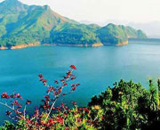 泸县天气预报7天