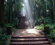 彭山天气预报30天