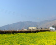 越西天气预报40天