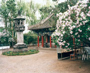 黑水天气预报15天