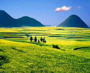 罗平天气预报60天