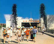 东兴天气预报15天